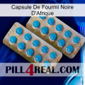 Africa Black Ant Capsule new08